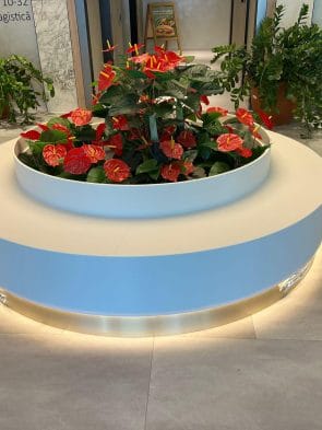 WhatsApp Image 2025-06-05 at 19.53.51 (2)